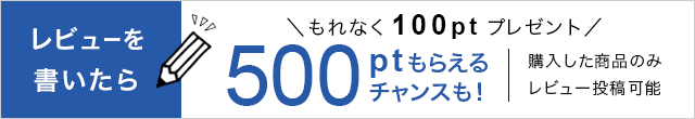 レビューキャンペーン