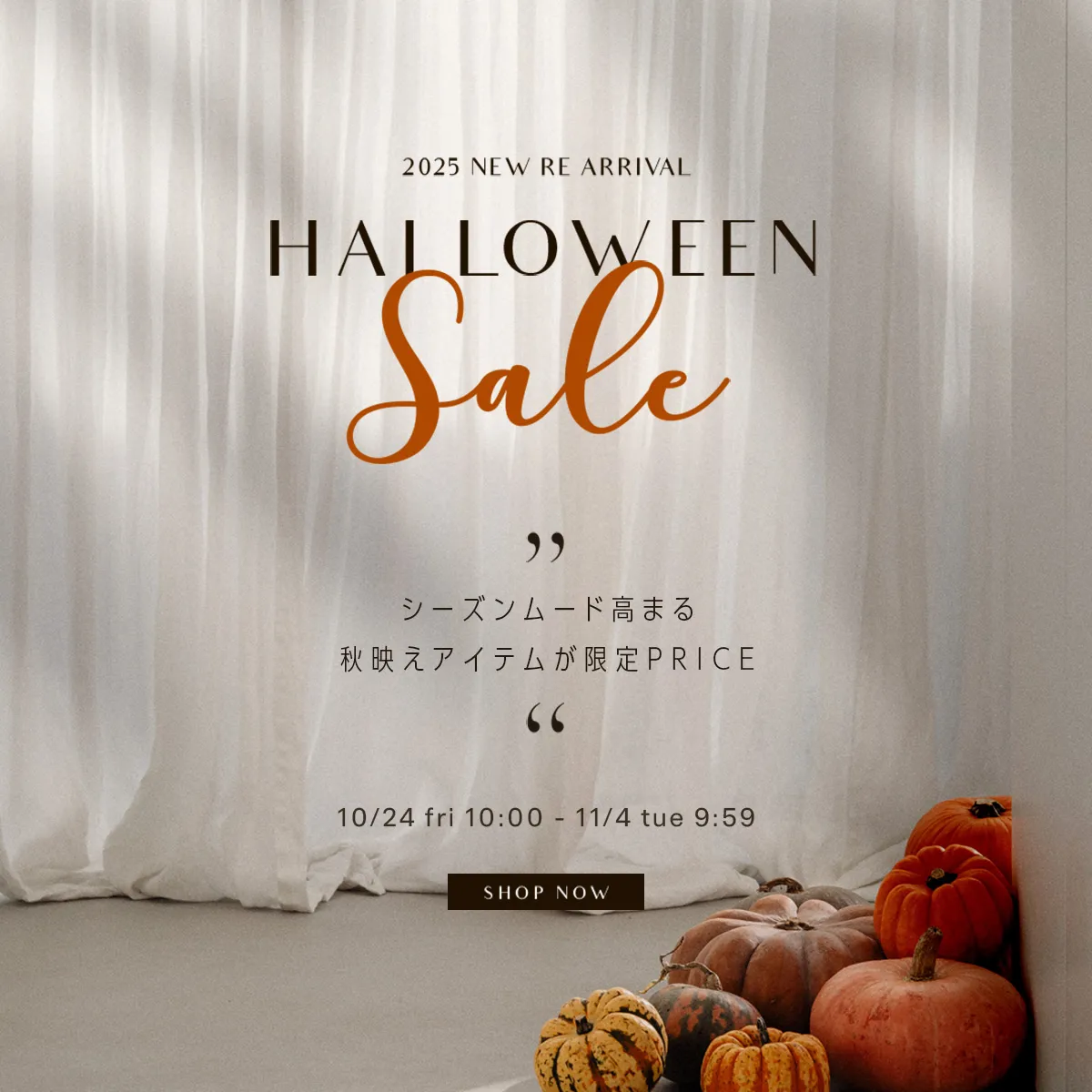 公式》レディースシューズ通販 | AmiAmi アミアミ