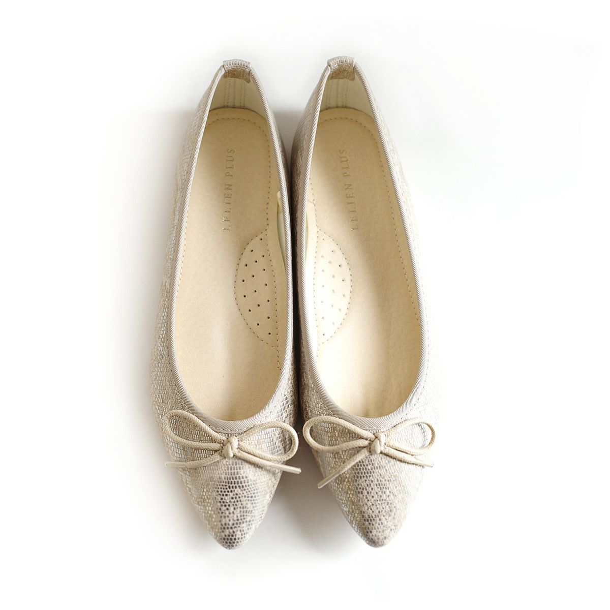 ホワイトシルバーパイソン