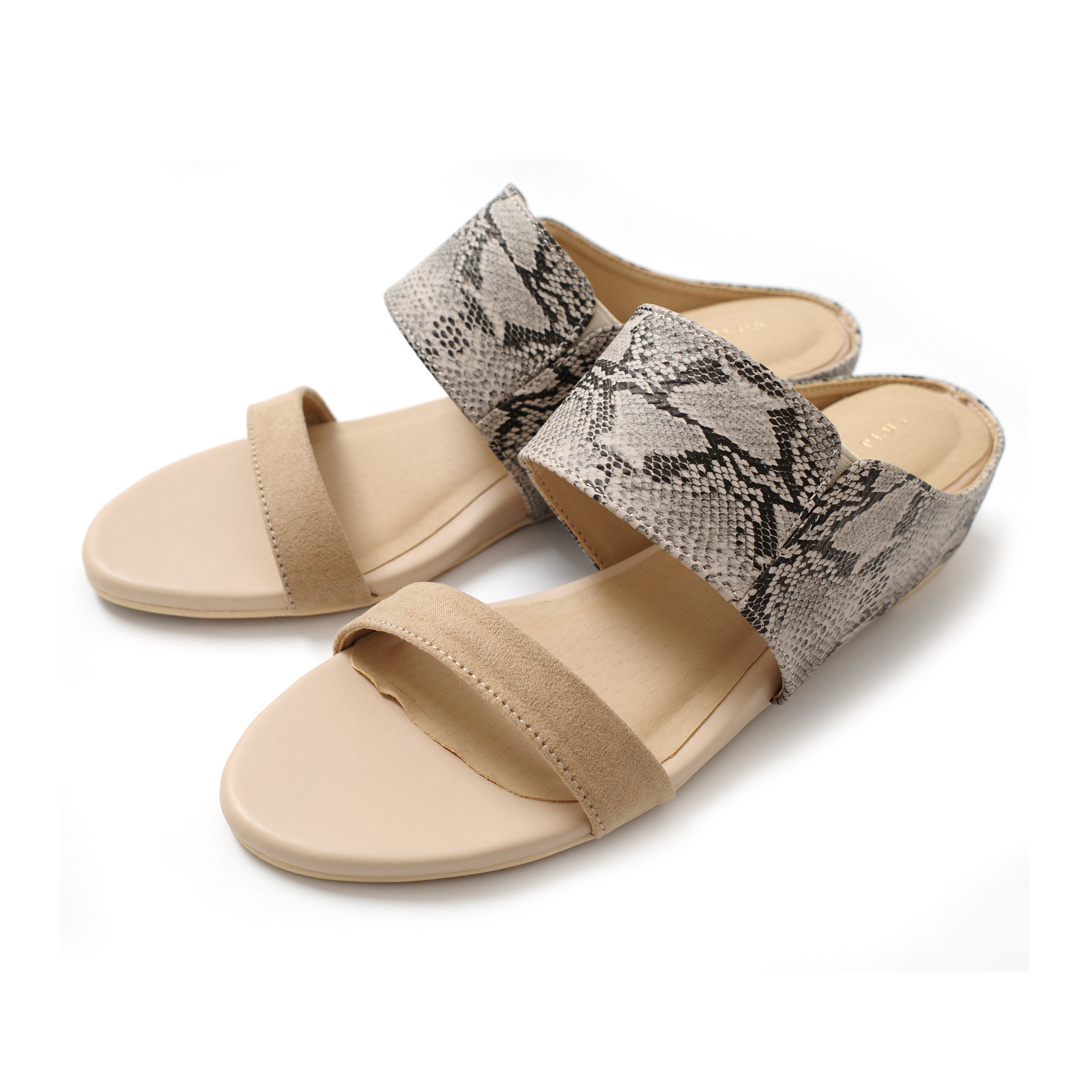 ホワイトシルバーパイソン×SV