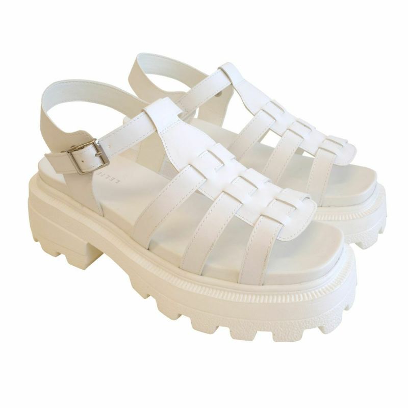 ホワイト(スムース)