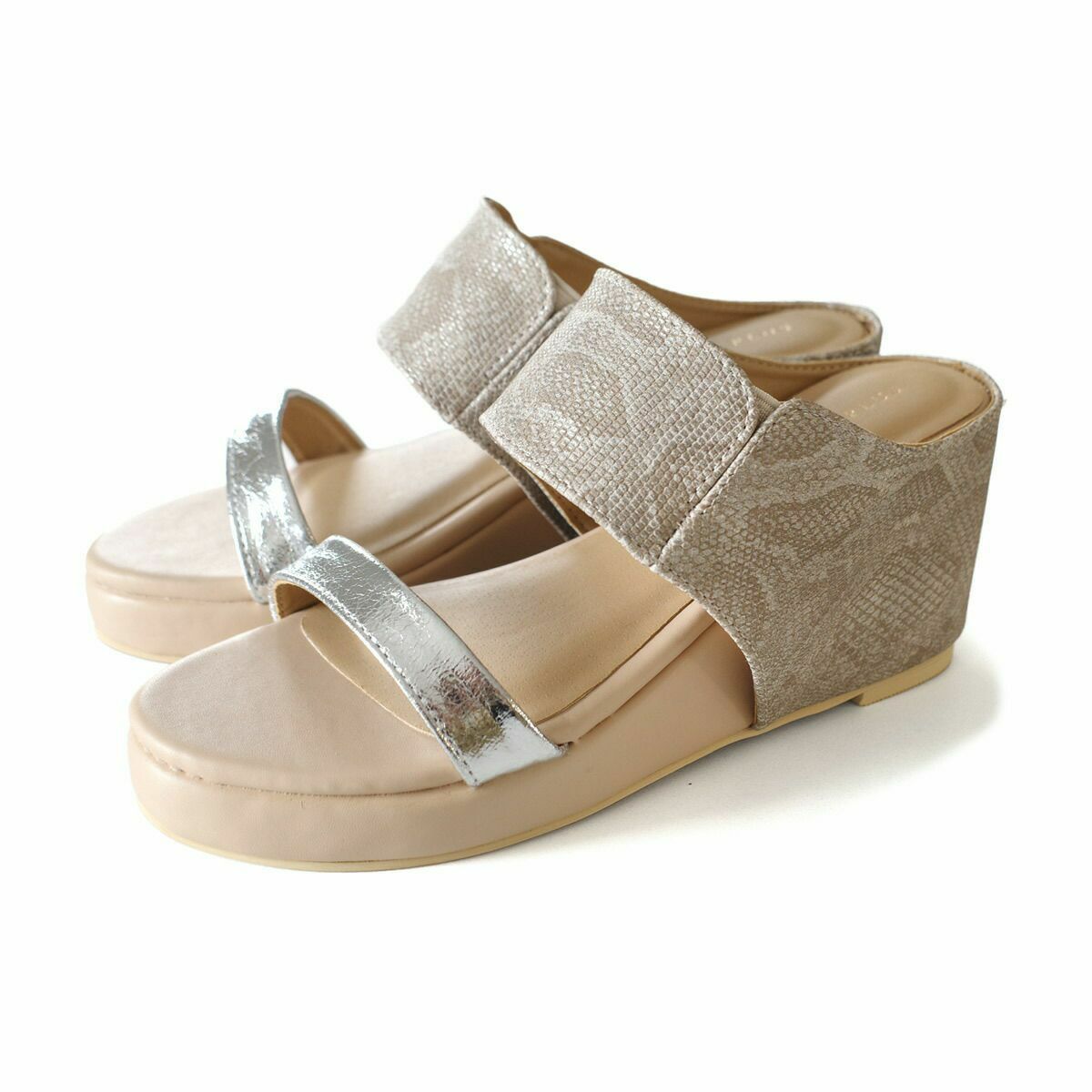 ホワイトシルバーパイソン×SV