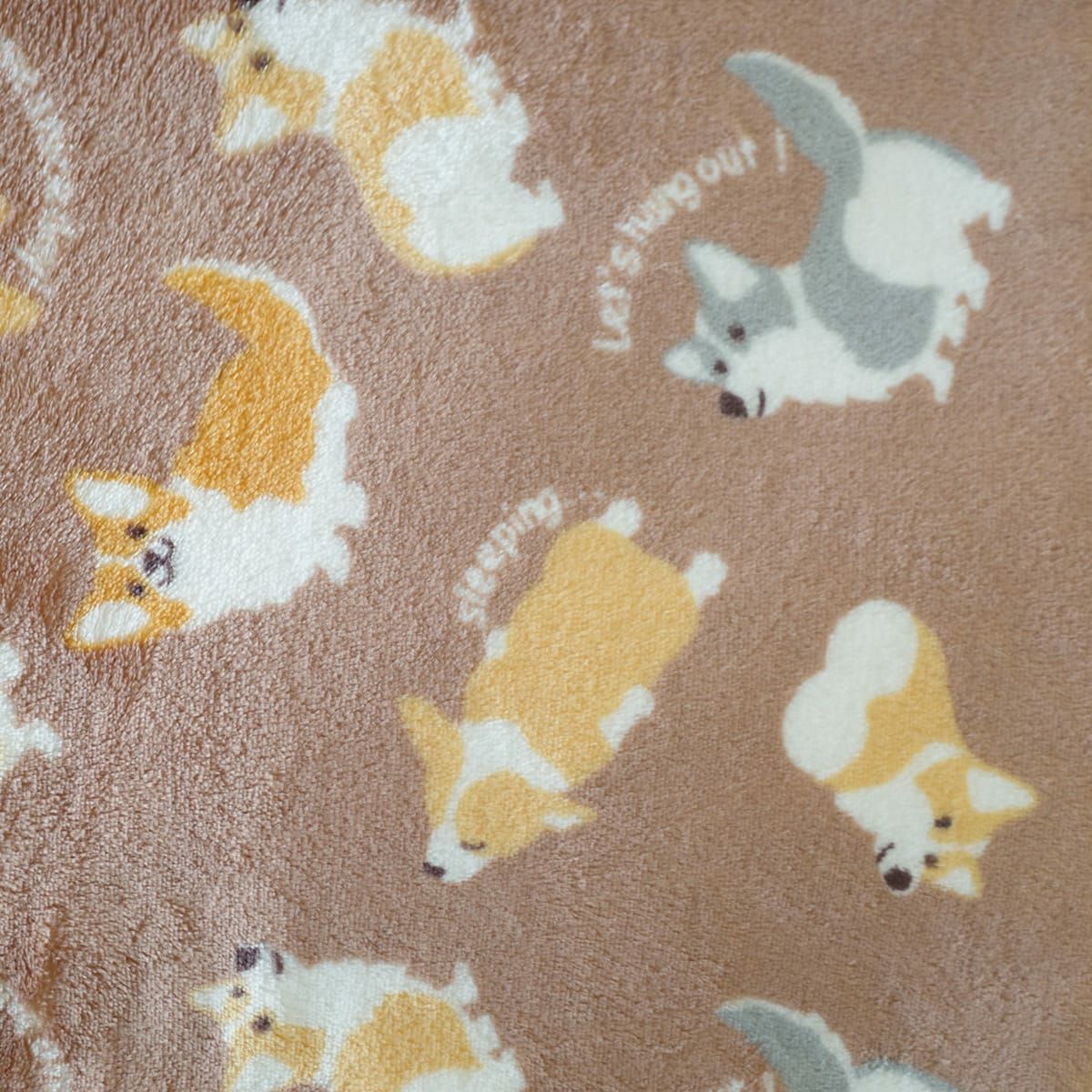 23(コーギー)
